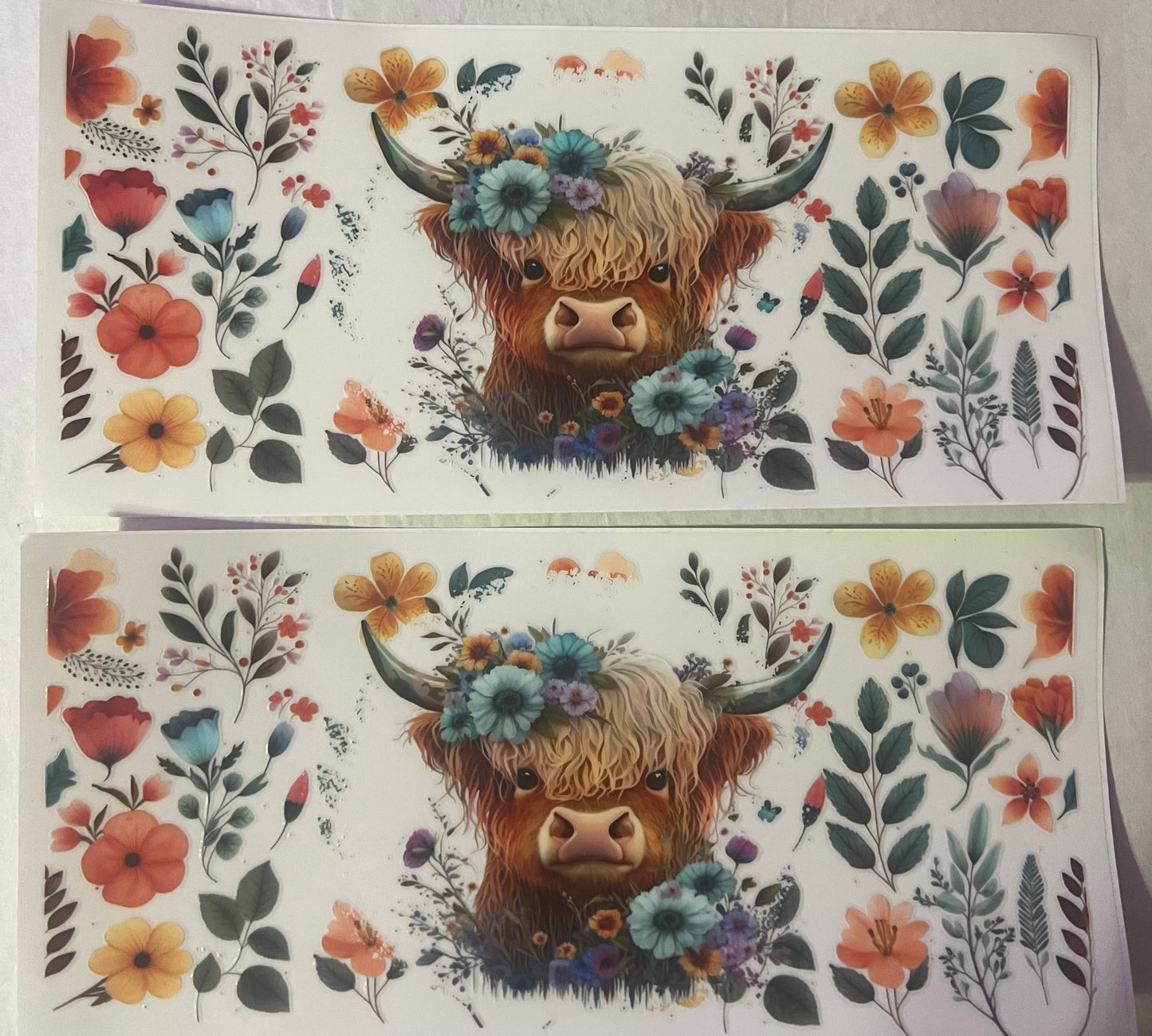 UVDTF 16oz Highland Cow
